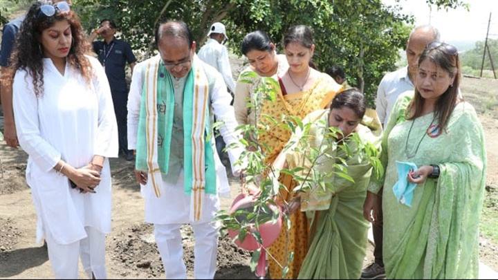 मुख्यमंत्री श्री चौहान के साथ पौध-रोपण कर मनाया जन्म-दिवस